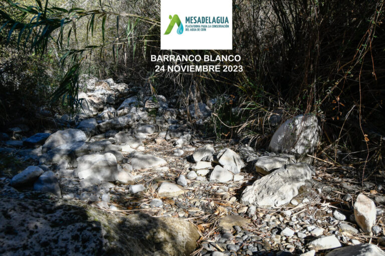 Barranco Blanco FIRMAO(6)